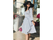 Plate-5846.jpg  1663���