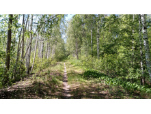 IMG 20180616 144426.jpg