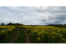 IMG 20180610 132722.jpg