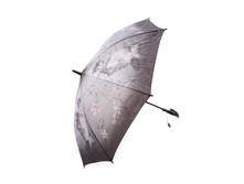 ����-������ ����: 301 RUB ������� / ���: 961683309 ��������: ����-������, ����� ������ - 67 ��