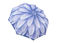 Zont-zhenskiy-2046-popular-3-sl-s-a-poliester 11.jpg