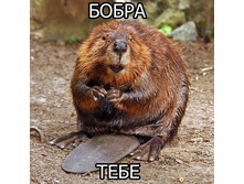 ����� ����!