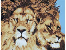 �������� ������� QA 202133 ���� 40*50 ����: 670.00 RUB