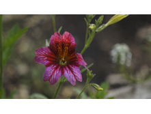 �������������