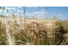 IMG 20180729 140707.jpg