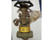 ���� ��������