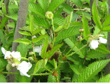 ���������� ������.JPG