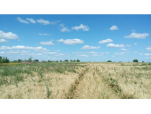 IMG 20180729 135804.jpg