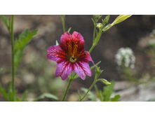 �������������