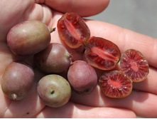 ��������� ������� ������ 1�� 190�.jpg