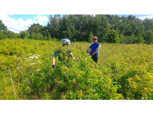 P 20180707 135602-01.jpeg