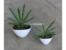 ���������� ���������� ��������