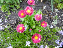 P1070822.JPG ����������