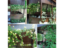 ��������� ����� ������� ��� ������� - ��� �� ��� ���, ���, ������, ������������� ����������. 154 ���. �������� �����