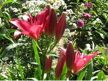 ����� ������.JPG