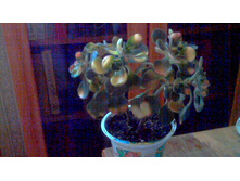 �������� �������������