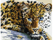 �������� ������� QA 200829 ������� 40*50 ����: 670.00 RUB