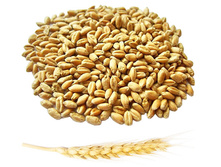 ������� ��� �������� 1��