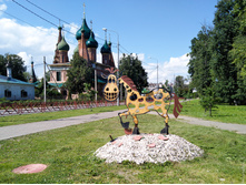 IMG 20180707 141753.jpg