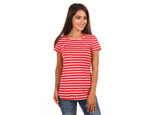 1804 �������� �����