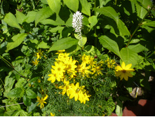 P1070876.JPG ��������� ����������.