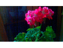 ����������� ��-�������