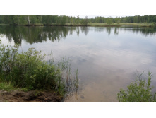 IMG 20180701 122839.jpg