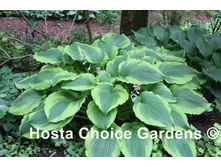 ����� �������� �����, ����� ������� 170���.jpg