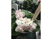 ������ ��-������5.JPG