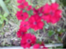 P1070827.JPG ��������� ��������.