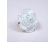 ������ Rosa media (�����)