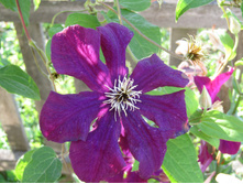 � ��������.JPG