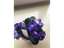 ������ ��-������4.JPG