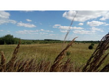 IMG 20180729 144240.jpg