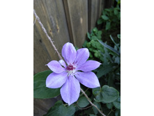 IMG 20180710 192604.jpg