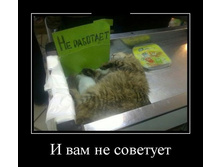 ���. �� ��������. � ��� �� ��������.