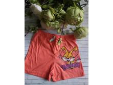 ����� ���������