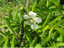 ���������� ������.JPG