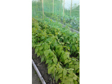 ������ �� 08.07.18.jpg