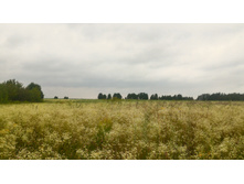 P 20180721 112740 HDR.jpg