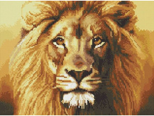 �������� ������� EF 223 ���� ������ 30*40 ����: 535.00 RUB