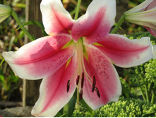 � ��������.JPG