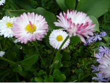 P1070823.JPG ���������� � �������� ��������� � ������ �������.