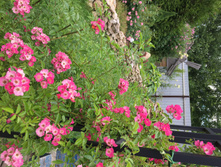 ����� ����2.jpg