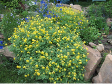 �������� ������ 90�.jpg