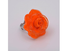 ������ Ro*sa ���� (orange)