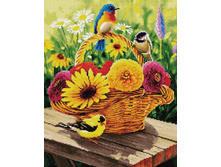 �������� ������� GF 1440 �������� � ������ 40*50 ����: 760.00 RUB