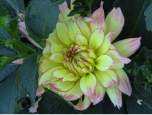 �������� ������� ����� .JPG