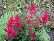 �������� �������.JPG