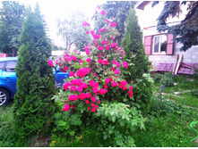 IMG 20180704 204244.jpg